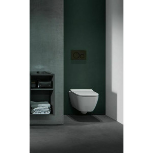 Кнопка зливу Sigma 20 (115.882.DW.1) чорний, Geberit