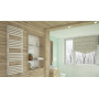 Рушникосушка 1185х600 Quadrus Slim One WWQSN118060KS96E1P Terma