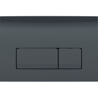 Кнопка зливу Delta50 115.119.DW.1 чорний Geberit