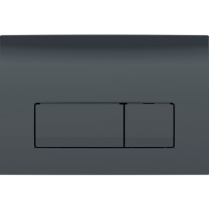 Кнопка зливу Delta50 115.119.DW.1 чорний Geberit