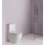 Унітаз-компакт Laufen PRO з кришкою Slim soft-close H8679530009701 LAUFEN