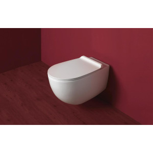 Кришка для унітаза Vignoni VI 004 soft-close (VI004WM) white mat, SIMAS