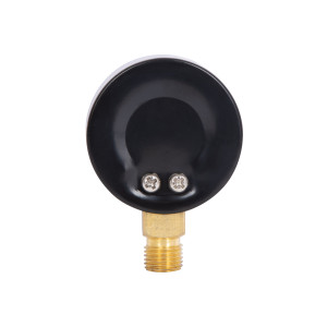 Манометр Thermo Alliance Standart 50 мм 1/4", нижнє підмикання SD1704B