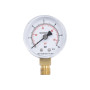 Манометр Thermo Alliance Standart 50 мм 1/4", нижнє підмикання SD1706B