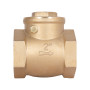 Зворотний клапан Thermo Alliance Standart 2" SD242W50