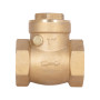 Зворотний клапан Thermo Alliance Standart 1" SD242W25