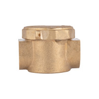 Фільтр латунний Thermo Alliance Standart 1/2" SD120G15