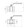 Кран кульовий Thermo Alliance Standart 2" ВР для газу (важіль) SD600NG50PN40