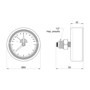 Термоманометр Thermo Alliance Standart 80 мм 1/2", заднє підключення SD17310B