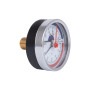 Термоманометр Thermo Alliance Standart 80 мм 1/2", заднє підключення SD17310B