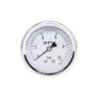Манометр глицериновый Thermo Alliance Forte d63 мм, 1/4"Н с задним подключением (латунь) 0–10 бар TAF171G10B