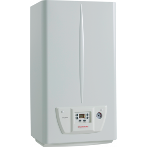 Двухконтурный газовый котел Immergas Nike Star 24 4 E